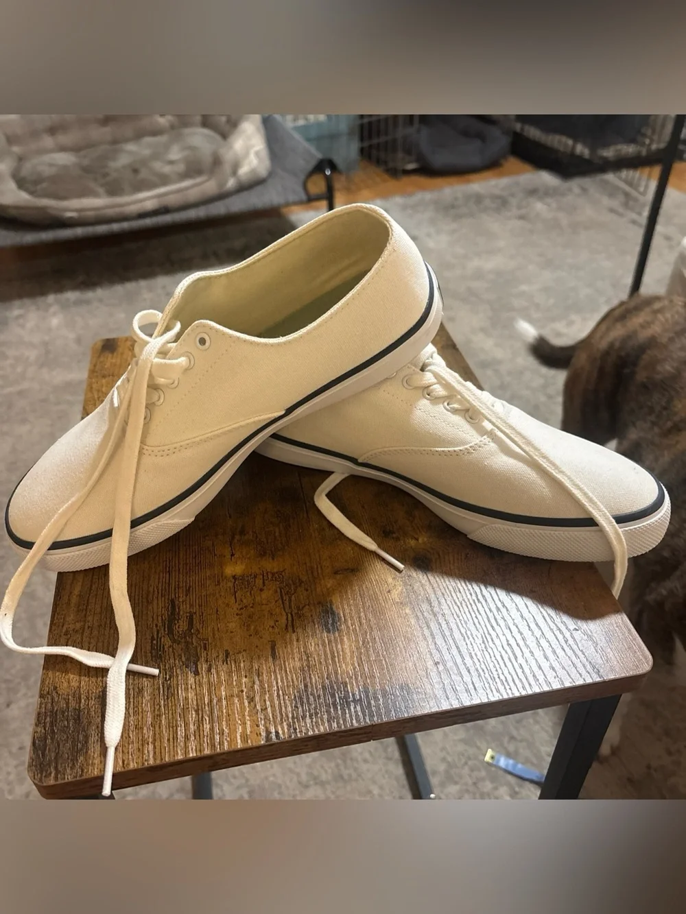 Sperry Top Sider Classic CVO White Size 9 NWOT